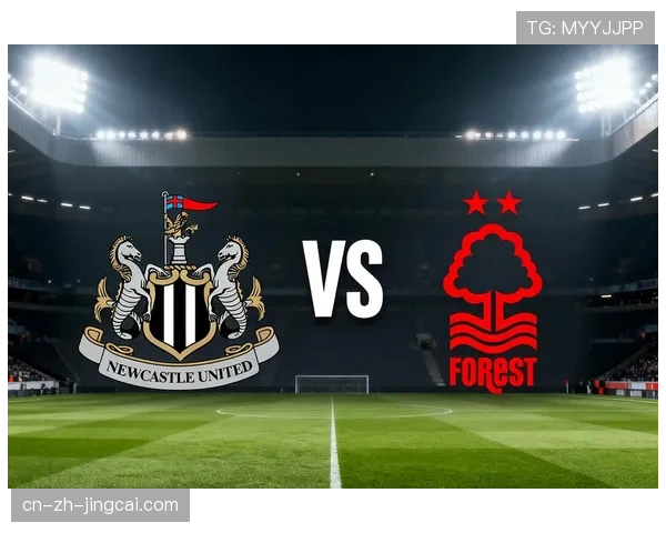 纽卡与布伦特福德共9场英超交锋打入37球 高进球数倾向明显